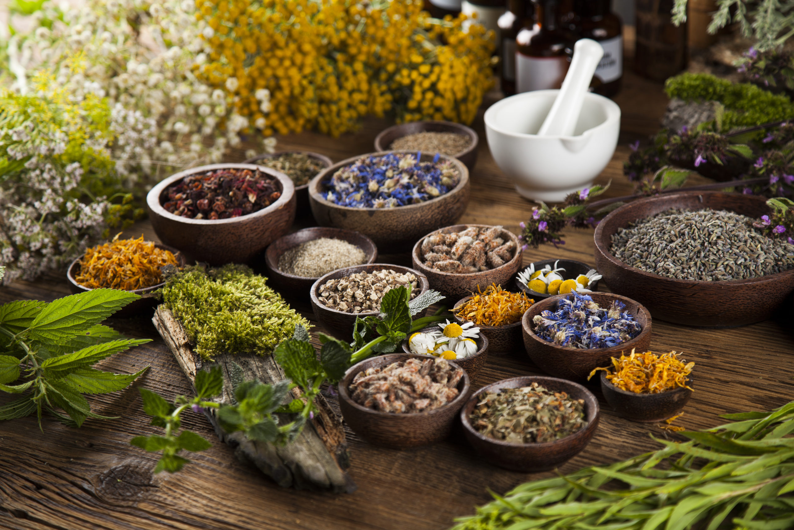 Natural Remedies for Flight Anxiety: What Actually Works?